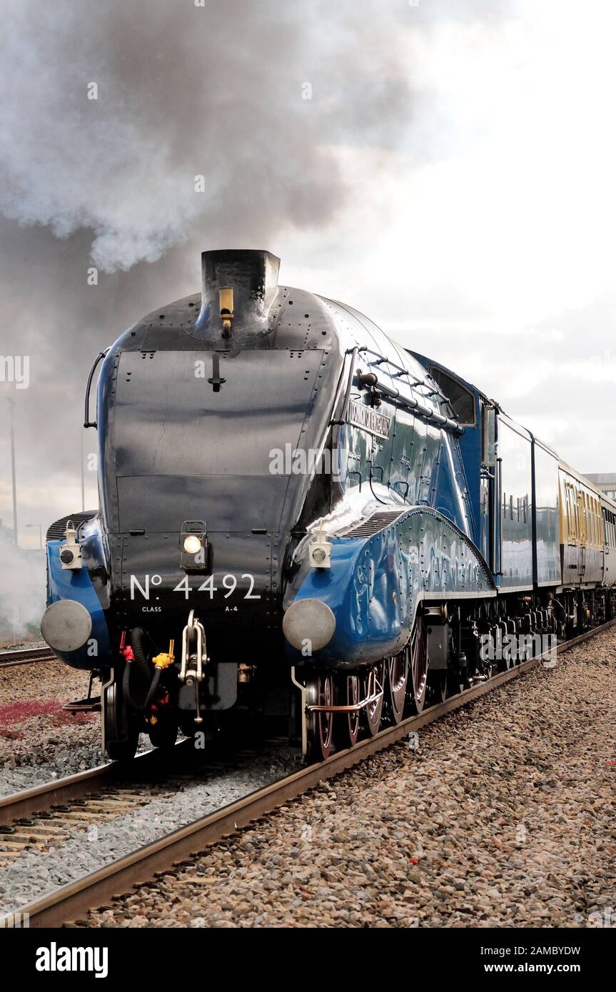 インヘイラー 4492 dominion of new zealand hi-res stock photography and images