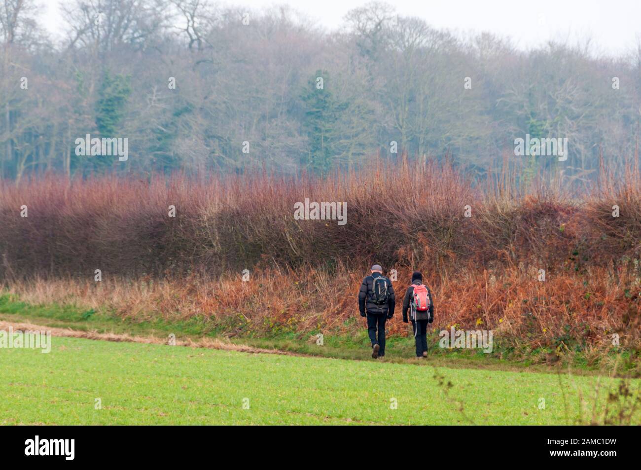 Two walkers on the Weaver's Way long distance footpath in North Norfolk. Stock Photo