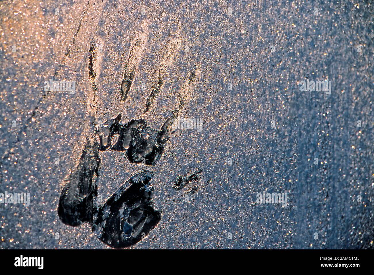 Hand imprint on a frosted glass in winter Stock Photo