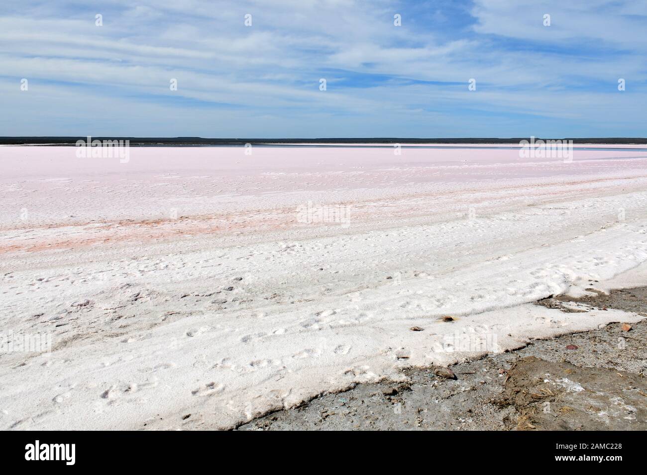 Salt Lake, Salina Chica, Valdes Peninsula, Province of Chubut, Argentina, South America Stock Photo
