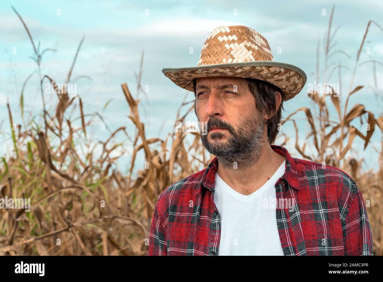 Portrait of corn farmer in ripe maize crop field wearing straw hat and ...