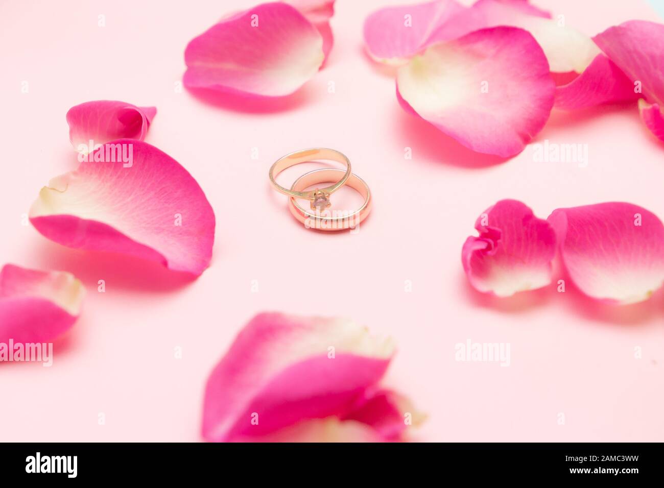 Wedding ring and gold engagement ring with gemstone around roses petals on the pastel pink background. Marriage concept. Happy Valentines day. Stock Photo