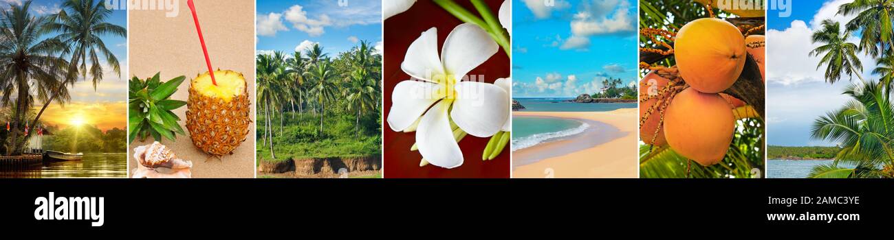Tropical beach collage hi-res stock photography and images - Alamy