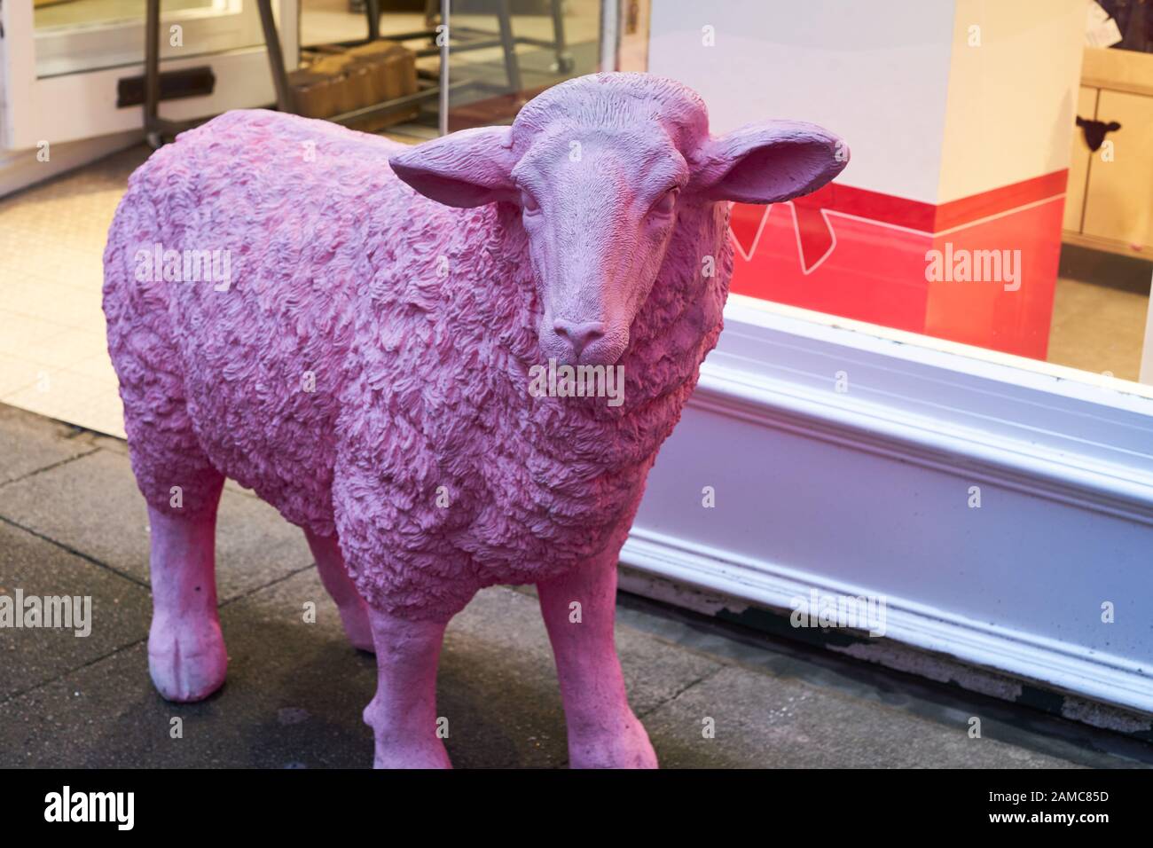 Neon sheep shop hires stock photography and images Alamy