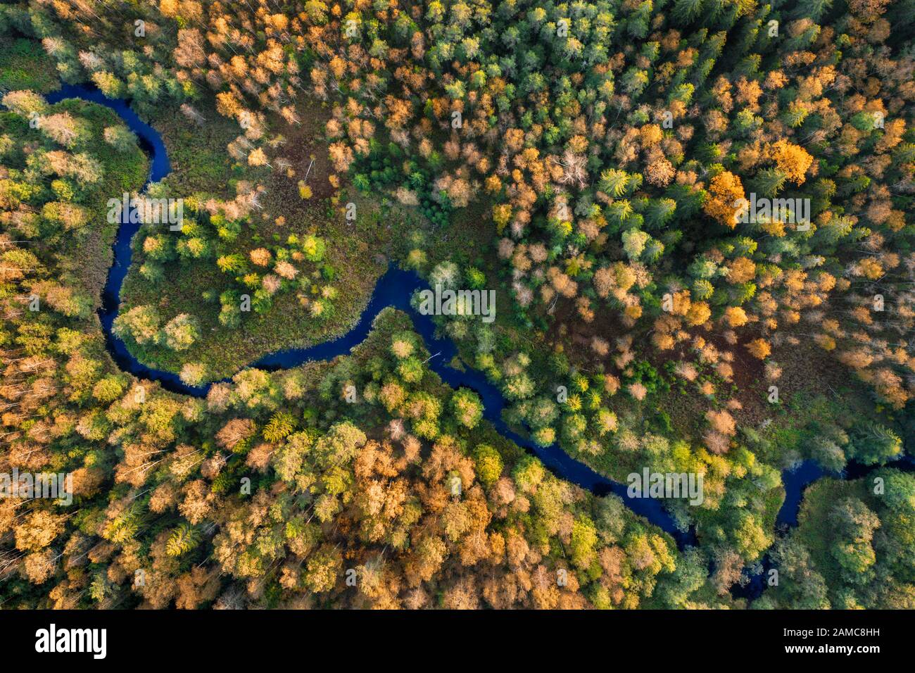 Aerial view of river and autumn forest Stock Photo - Alamy