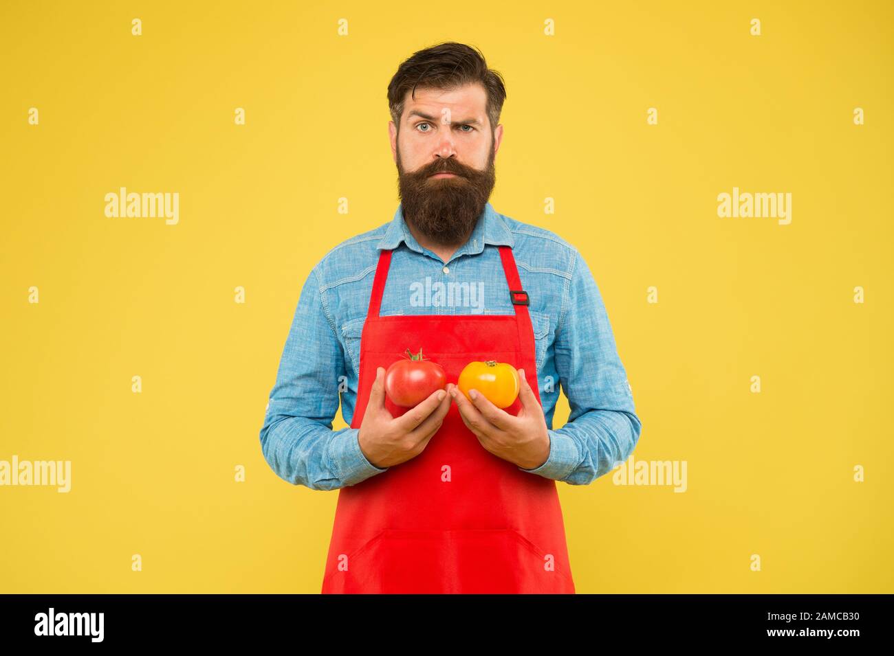 lets cook ketchup. bearded man chef with tomato. healthy food cooking