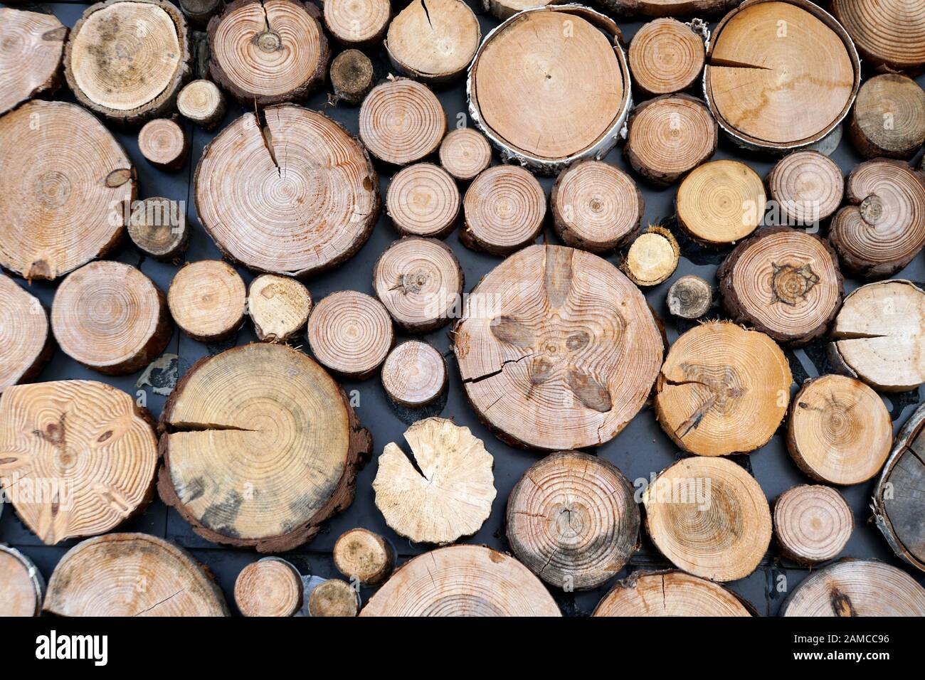 Holz Scheibe High Resolution Stock Photography and Images - Alamy