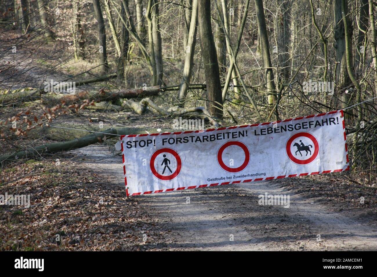 Durchforstung im Naturpark Kottenforst-Ville - Sperrung eines Forstweges, Brühl, Nordrhein-Westfalen, Deutschland Stock Photo