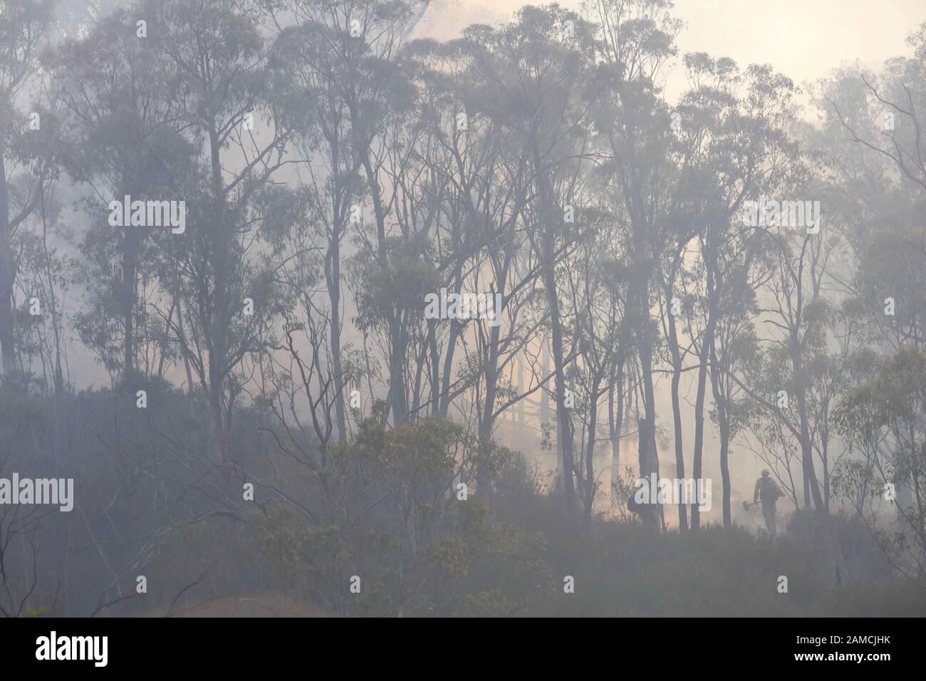 Victoria, Australia. 12th Jan, 2020. Firefighters from a joint Australian and U.S. strike team disappear in smoke as they blackline an area in order to control a bush fire and protect nearby structures, in Alpine National Park near Omeo. The Australian firefighters are with Country Fire Authority Australia and the U.S. team is the third rotation in for 28 days and they come from five different U.S. agencies. Credit: ZUMA Press, Inc./Alamy Live News Stock Photo