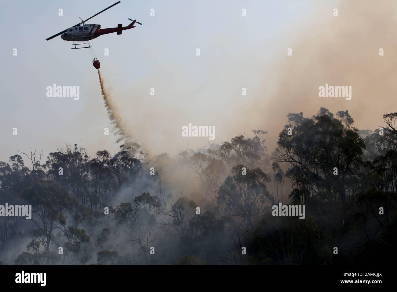 Victoria, Australia. 12th Jan, 2020. A helicopter does a water drop on a bushfire where a joint Australian and U.S. strike team blackline an area in order to control a the fire and protect nearby structures, in Alpine National Park near Omeo. The water drop reduces the heat and slows the fire helping the team on the ground. The Australian firefighters are with Country Fire Authority Australia and the U.S. team is the third rotation in for 28 days and they come from five different U.S. agencies. Credit: ZUMA Press, Inc./Alamy Live News Stock Photo