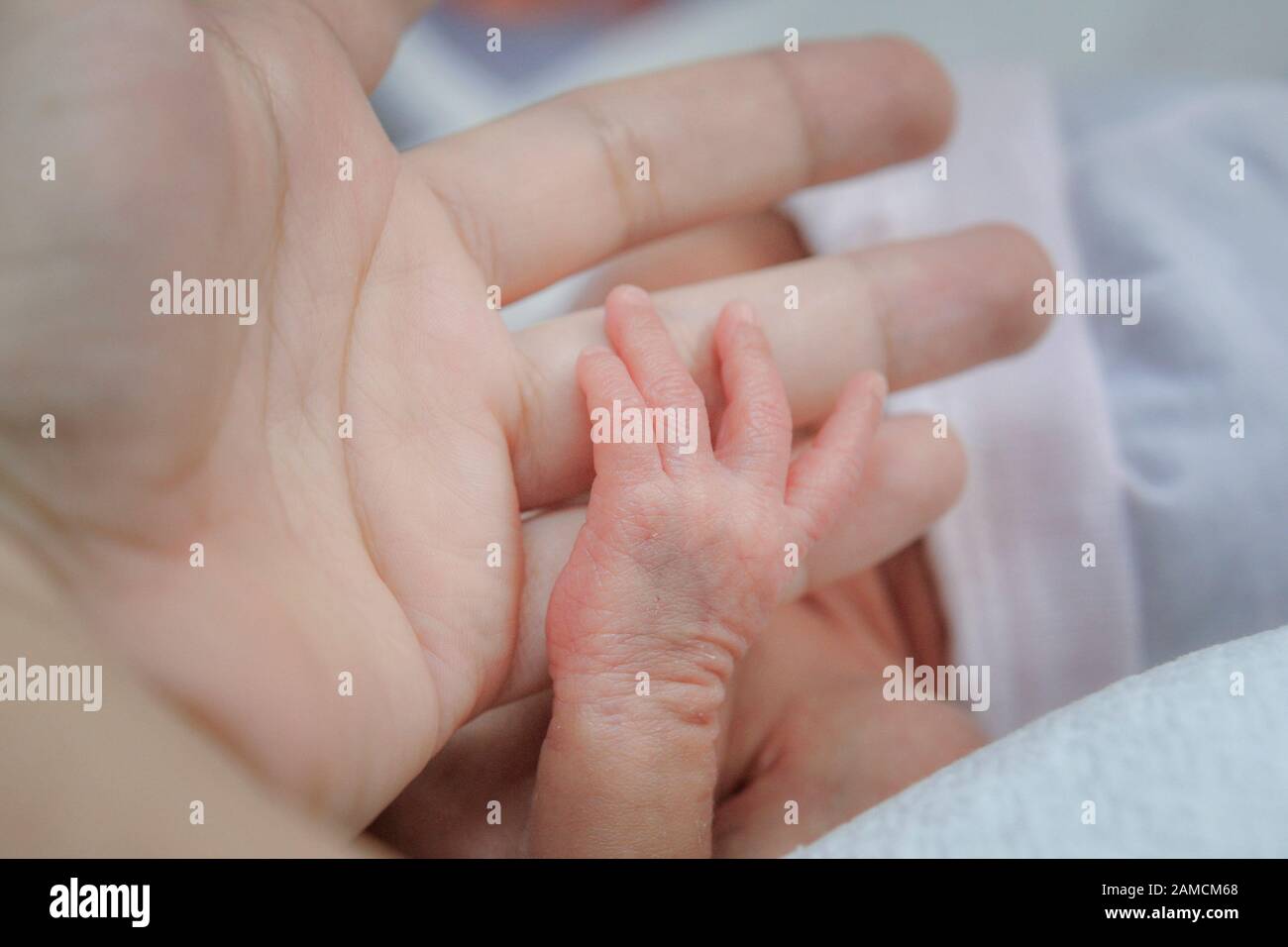 Hand of baby grabbing a finger, in neonatal intensive unit, at chidren's hospital.  Guayaquil.  Ecuador Stock Photo
