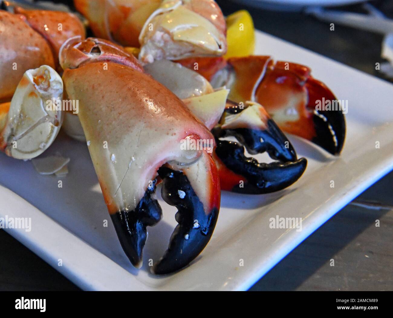 Florida stone crab claws on plate Stock Photo Alamy