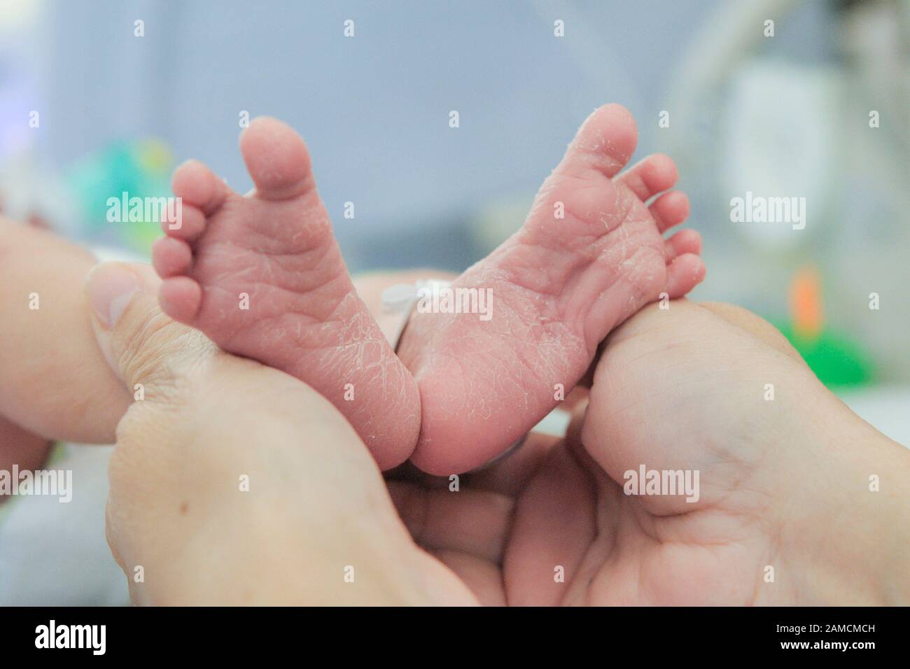 Feet of newborn baby held by adult hands, at chidren's hospital.  Guayaquil.  Ecuador Stock Photo