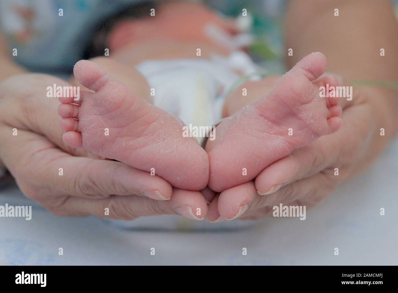 Feet of newborn baby held by adult hands, at chidren's hospital.  Guayaquil.  Ecuador Stock Photo