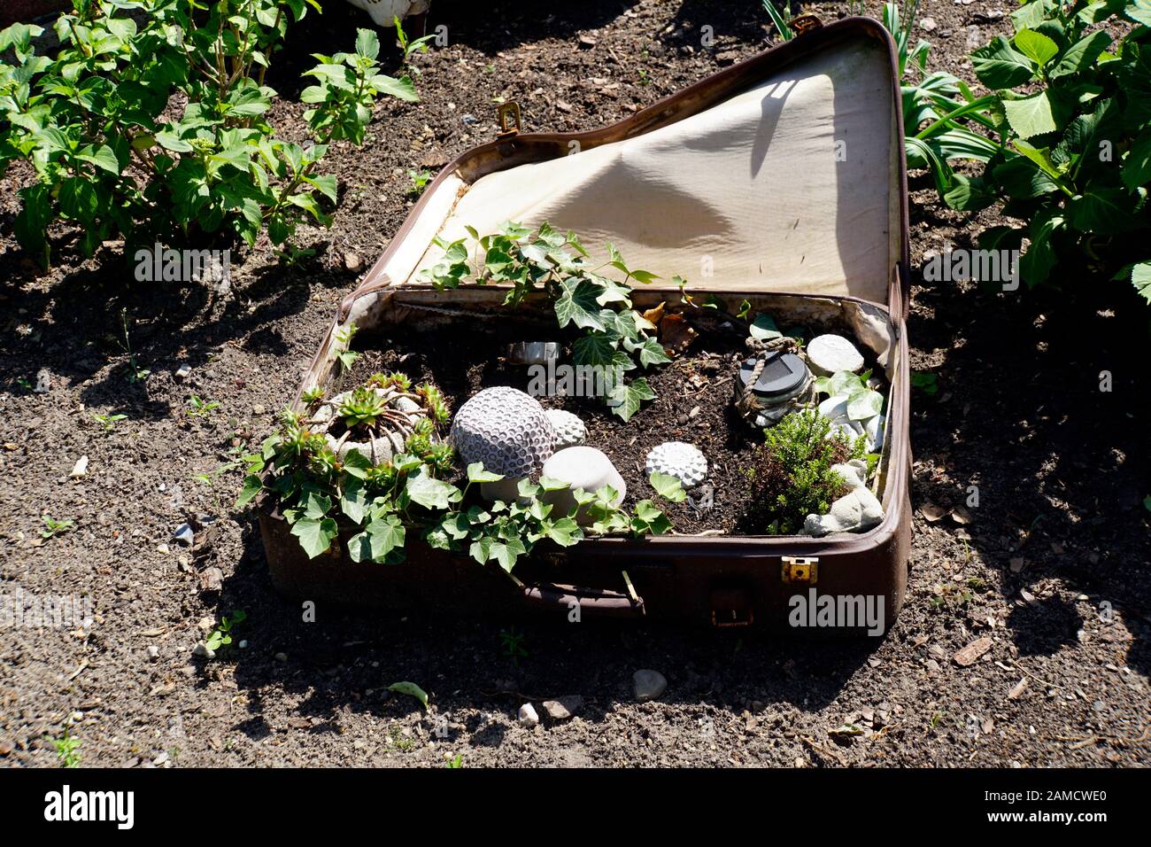 lustige Dekoration im Garten - Minigarten in einem Reisekoffer Stock Photo  - Alamy
