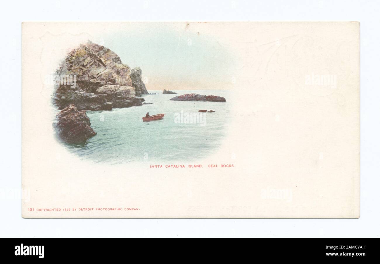 Seal Rocks, Santa Catalina Island, Calif  Postcard series number: 131 1899-1901. 'Photochrom' replaced by Detroit Photographic Company. Vignetted style transitioned to rectangular image with space for message.; Seal Rocks, Santa Catalina Island, Calif. Stock Photo