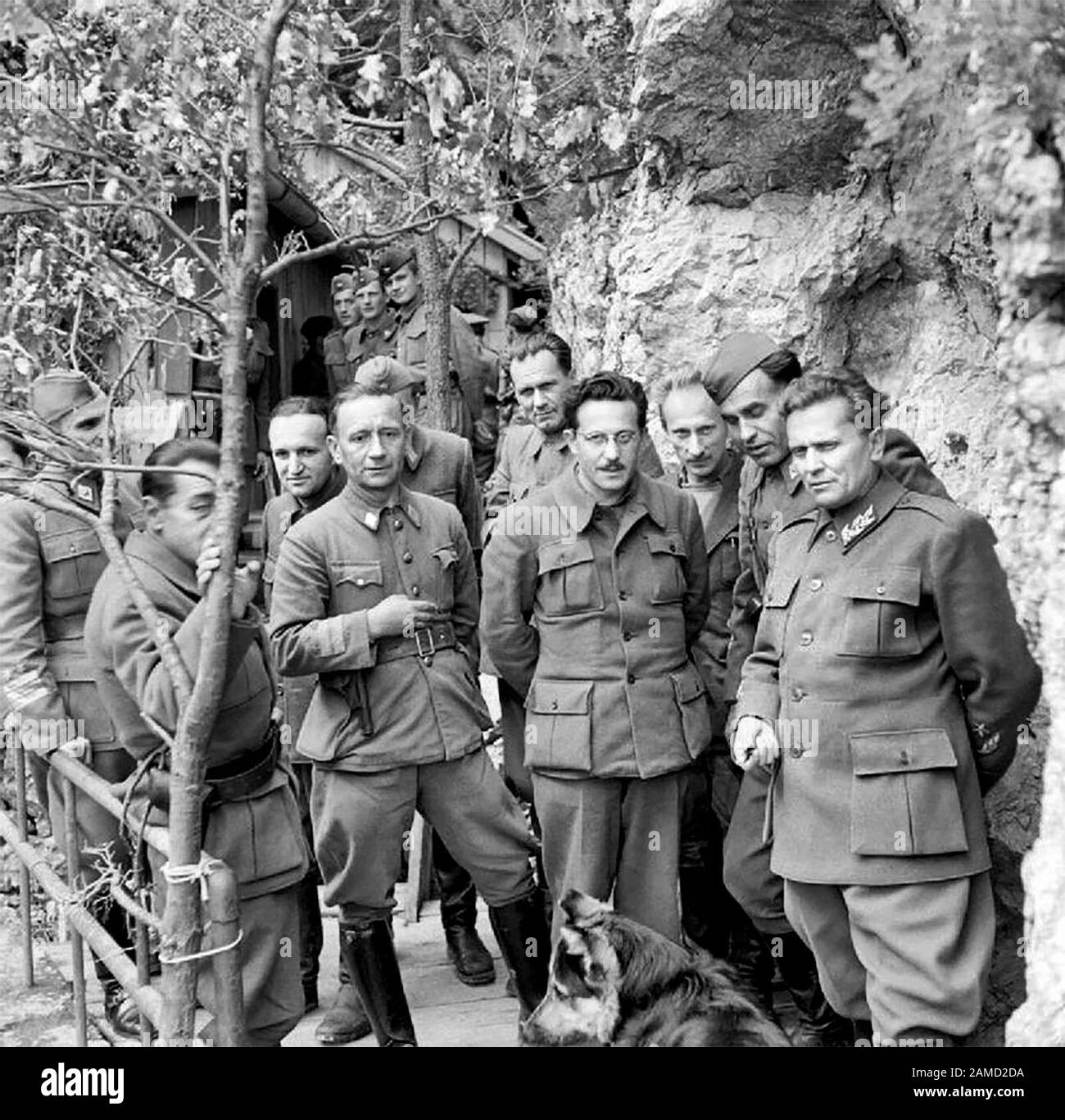 Marshal Tito stands with his Cabinet Ministers and Supreme Staff at his mountain headquarters in Yugoslavia on 14 May 1944. From left to right in the front row are Dr Vladimir Ribnikar (Minister of Information), Colonel Filipovich, Kdvard Kardelt and Marshal Tito. From left to right in the back row are Major General Arca Yovanovich (Chief of Staff), Radonja (Tito's secretary), Cholakovich (Secretary of the National Anti-Fascist Council), Kocbek (Minister of Education) and Lieutenant General Sreten Zujevich. Tito's dog, Tiger, can also be seen in the foreground. MAy 1944 Stock Photo