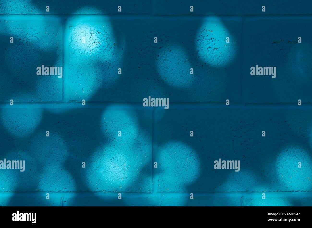 Blue painted concrete wall with shadow from the tree. Stock Photo