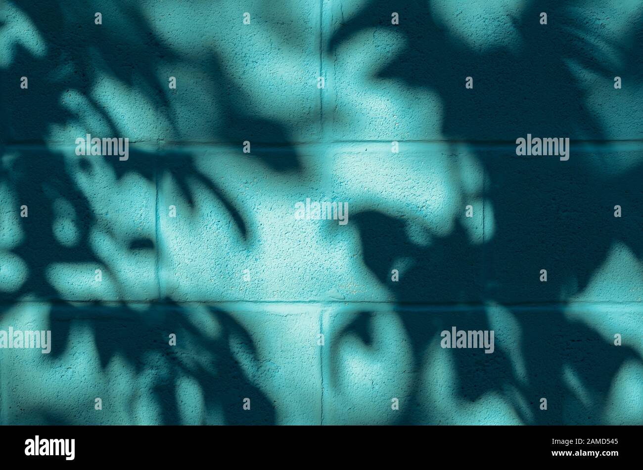 Blue painted concrete wall with shadow from the tree. Stock Photo
