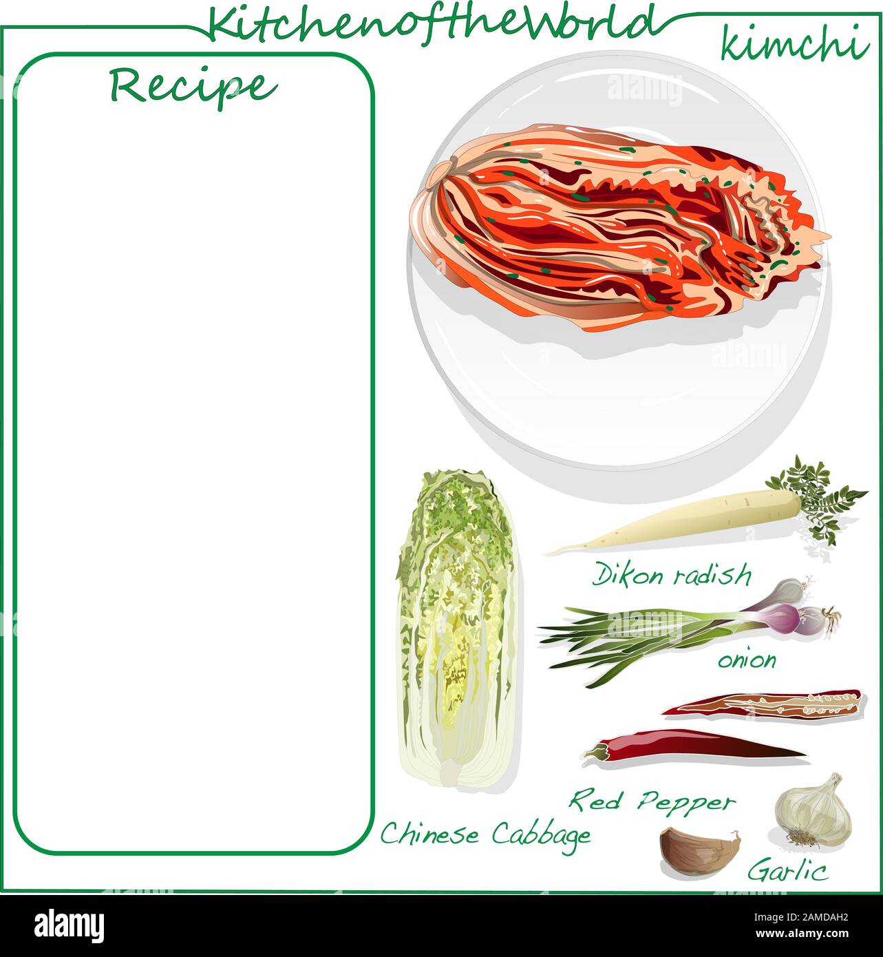 Vector illustration of menu. Recipe blank. Kimchi, traditional korean
