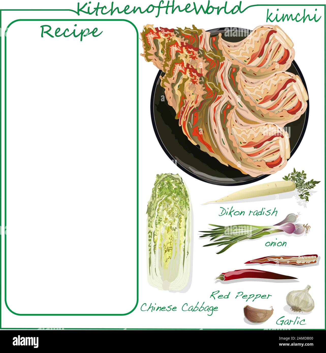Vector illustration of menu. Recipe blank. Kimchi, traditional korean