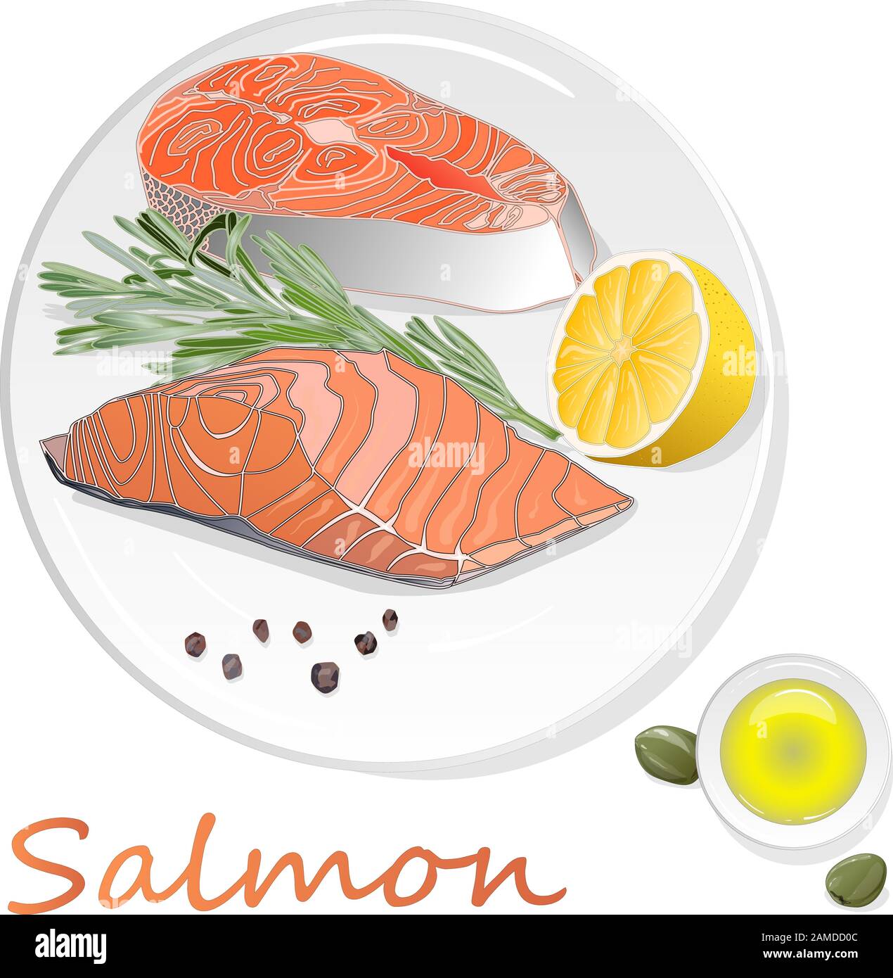 Raw salmon fillets with herbs on the plate. White background. Vector ...