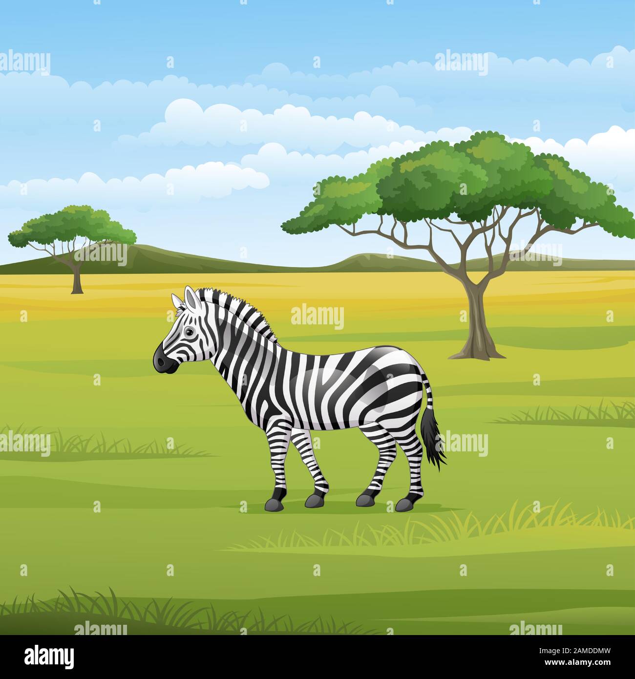 Cartoon zebra standing in the savannah Stock Vector