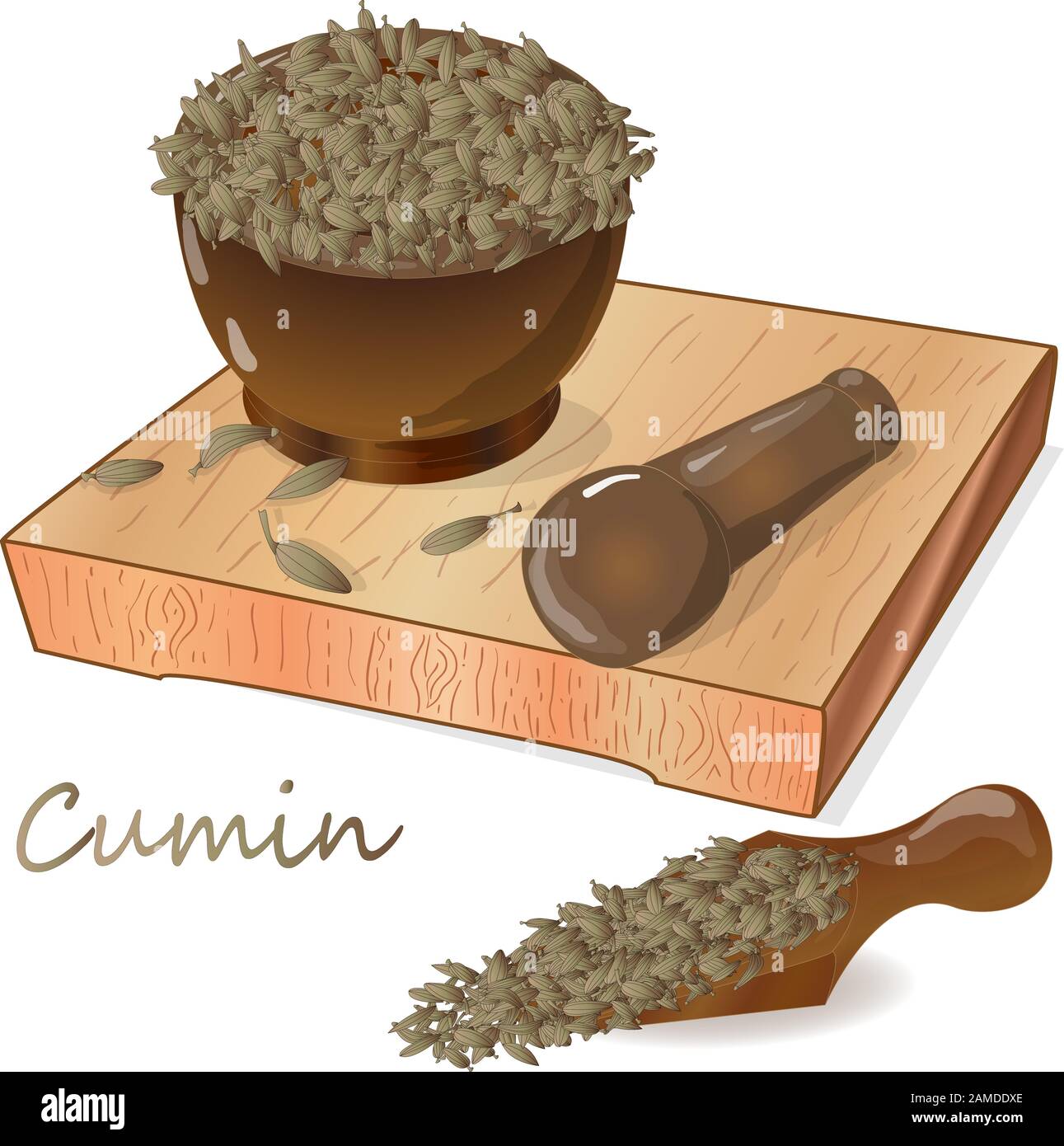 Cumin (Zira) seeds seasoning for meals and soups on a white background vector illustration. Stock Vector