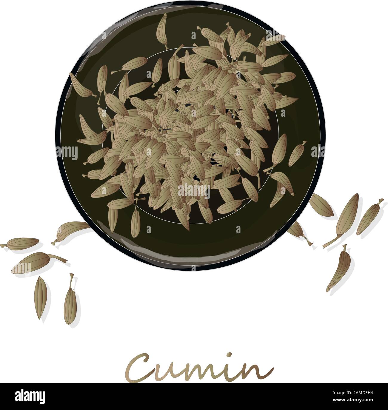 Cumin (Zira) seeds seasoning for meals and soups on a white background vector illustration. Stock Vector