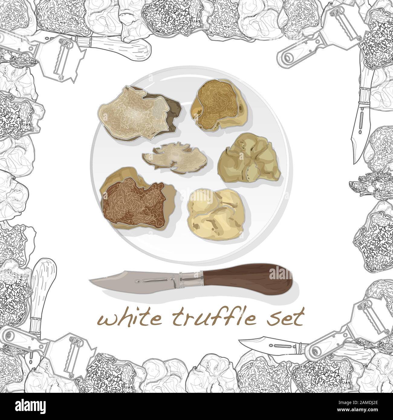Truffle mushroom illustration on white. Vector image set Stock Vector