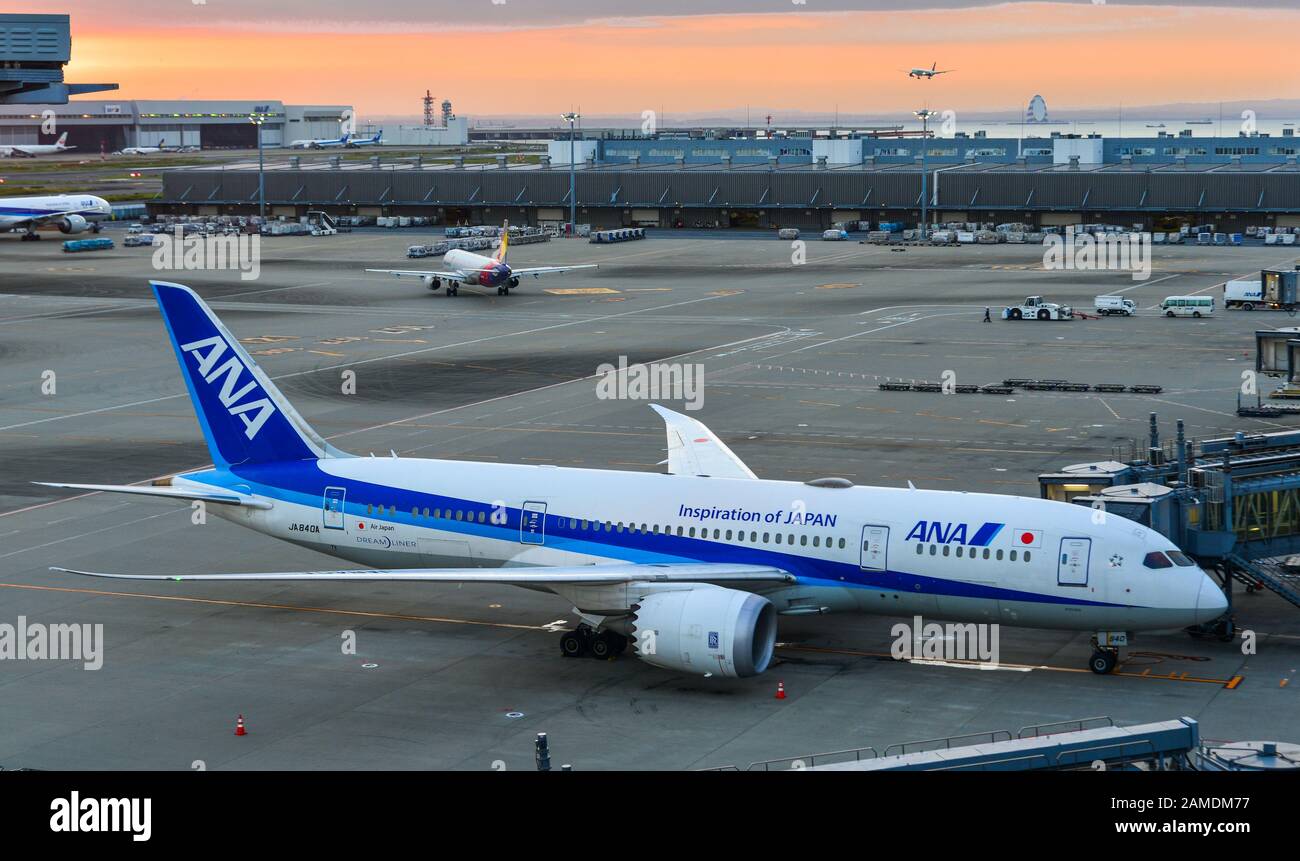 Tokyo, Japan - Nov 2, 2019. JA840A All Nippon Airways Boeing 787-8