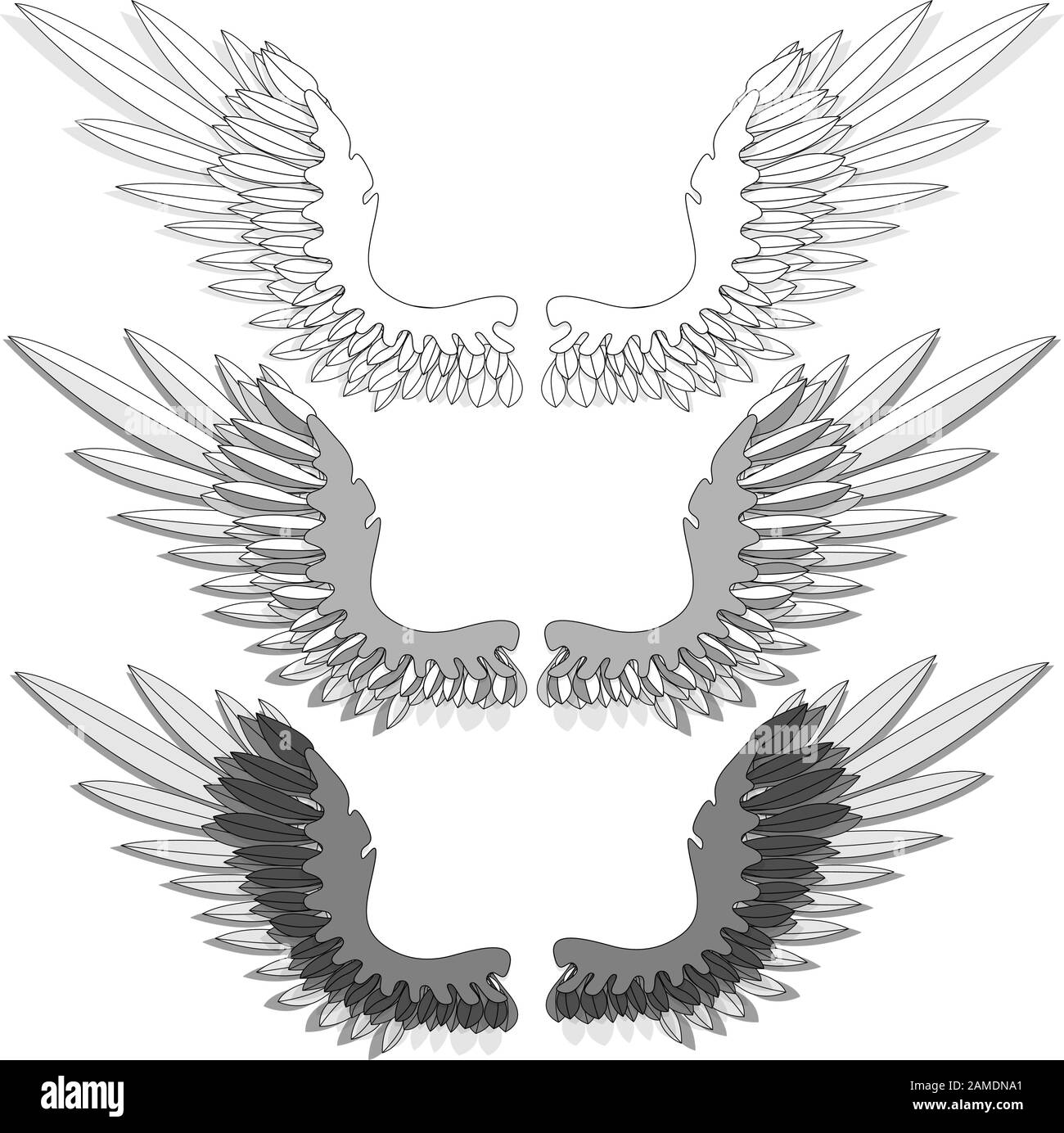 Bird wings set isolated on a white background. Vector illustration