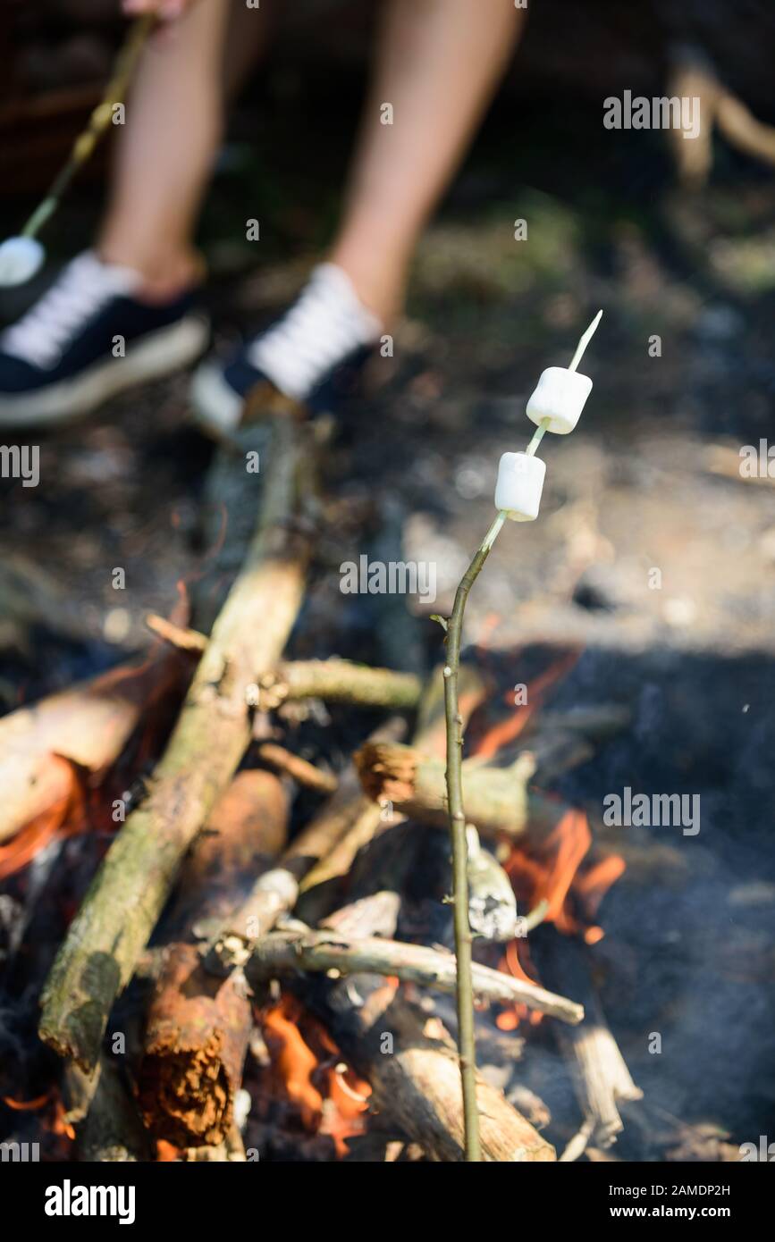 Camp tradition. How to roast marshmallows. Roasty, toasty marshmallows