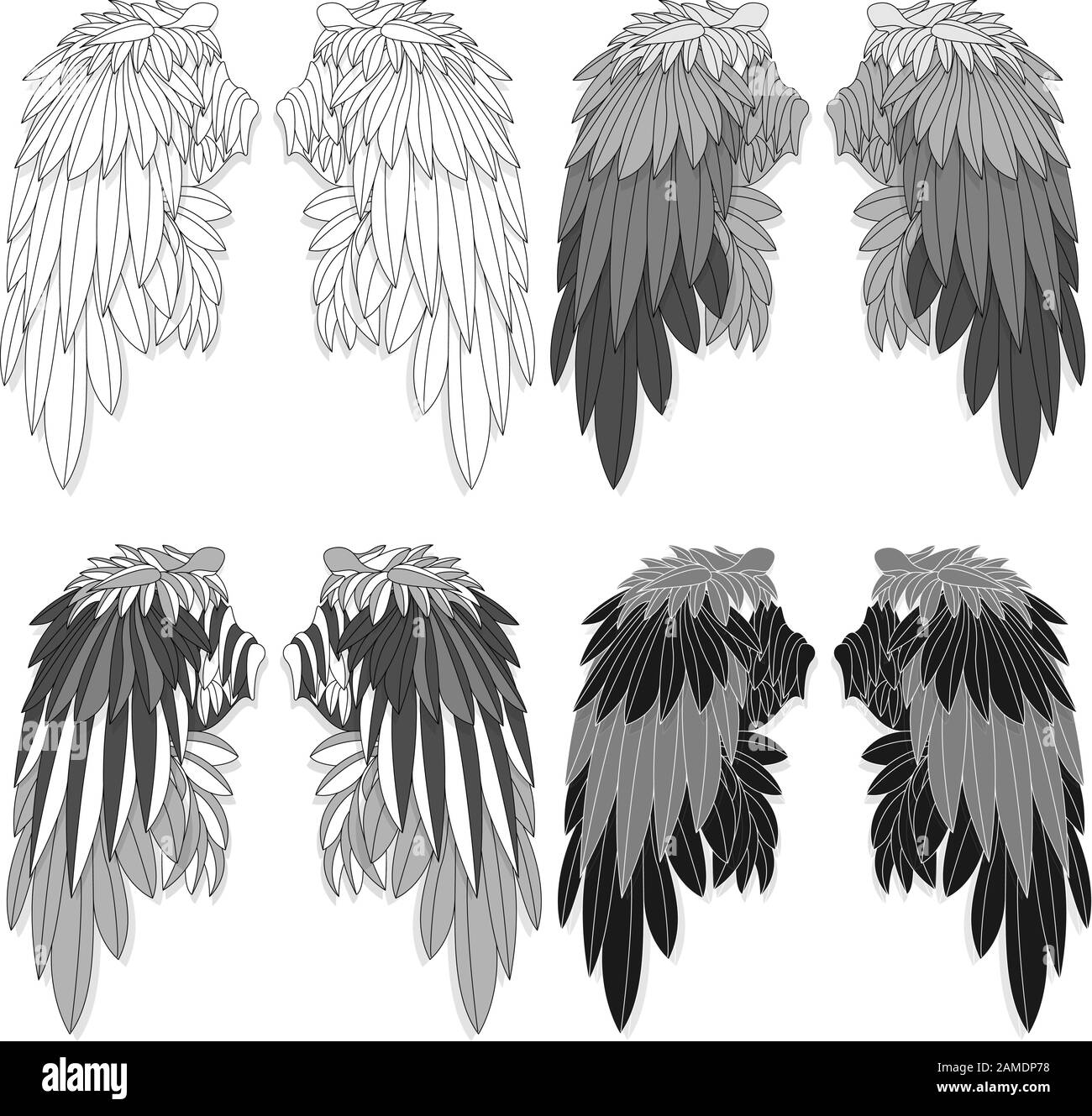 Bird wings set isolated on a white background. Vector illustration ...