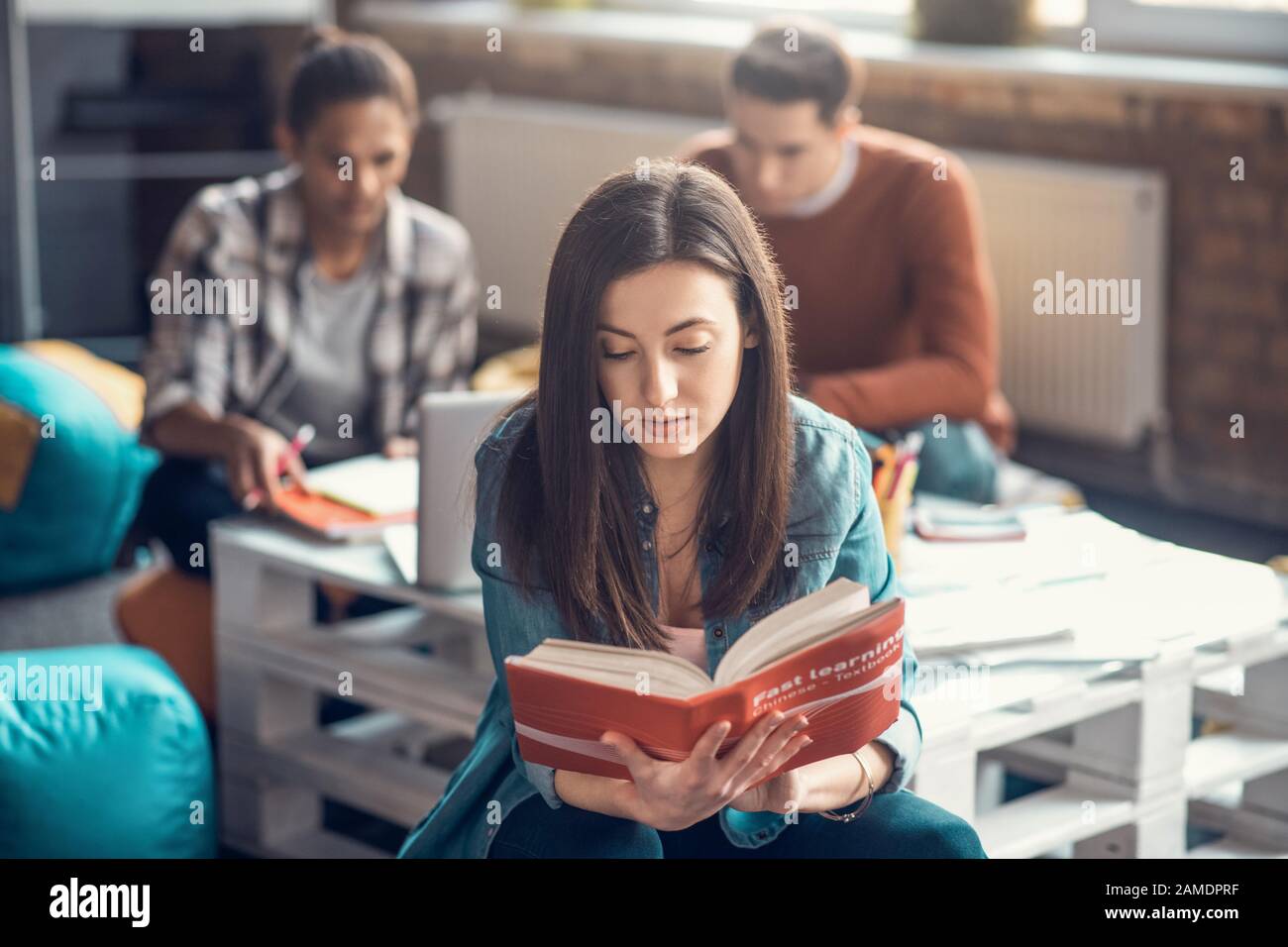 Dark-haired student feeling concentrated while studying Chinese Stock Photo