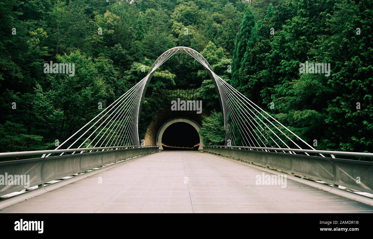 Entrance to Miho Museum through a tunnel under forest, 80% of the museum's  structure is beneath the earth so as to preserve its Stock Photo - Alamy