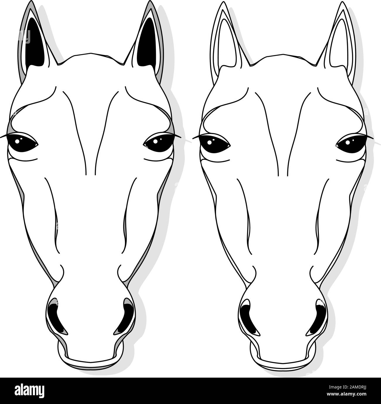 Vector illustration of horse head clipart set. Monochrome image