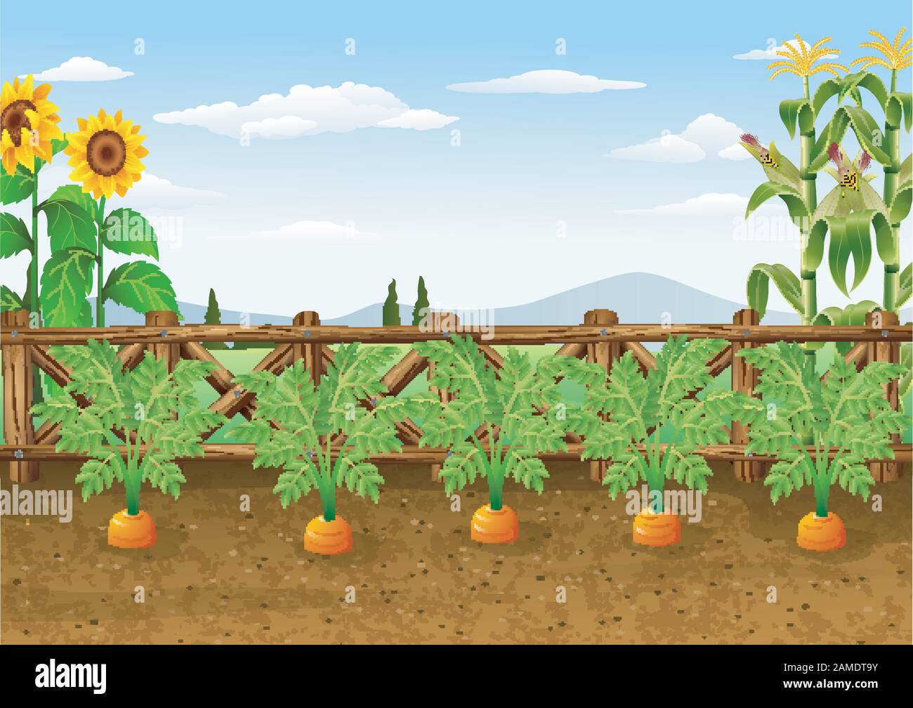 Illustration of carrots growing in ecological garden Stock Vector Image ...