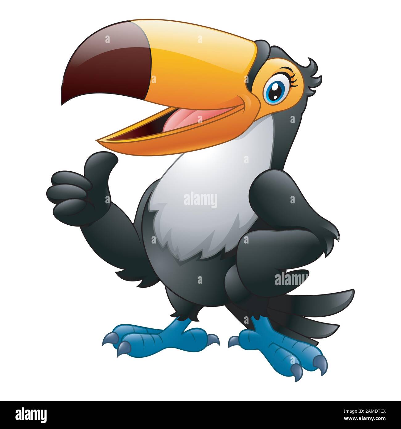 Cartoon funny toucan giving thumb up isolated on white background Stock  Vector Image & Art - Alamy
