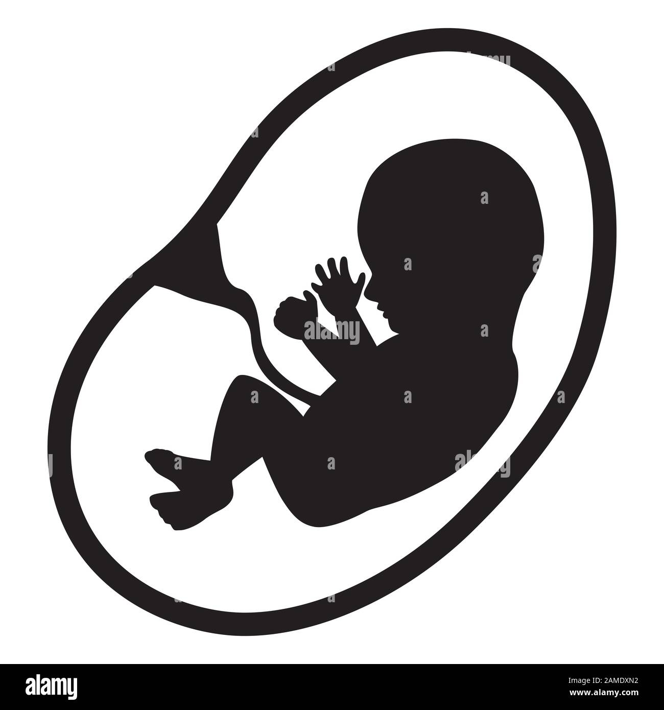 Fetus Isolated on White Background Stock Vector Image & Art - Alamy