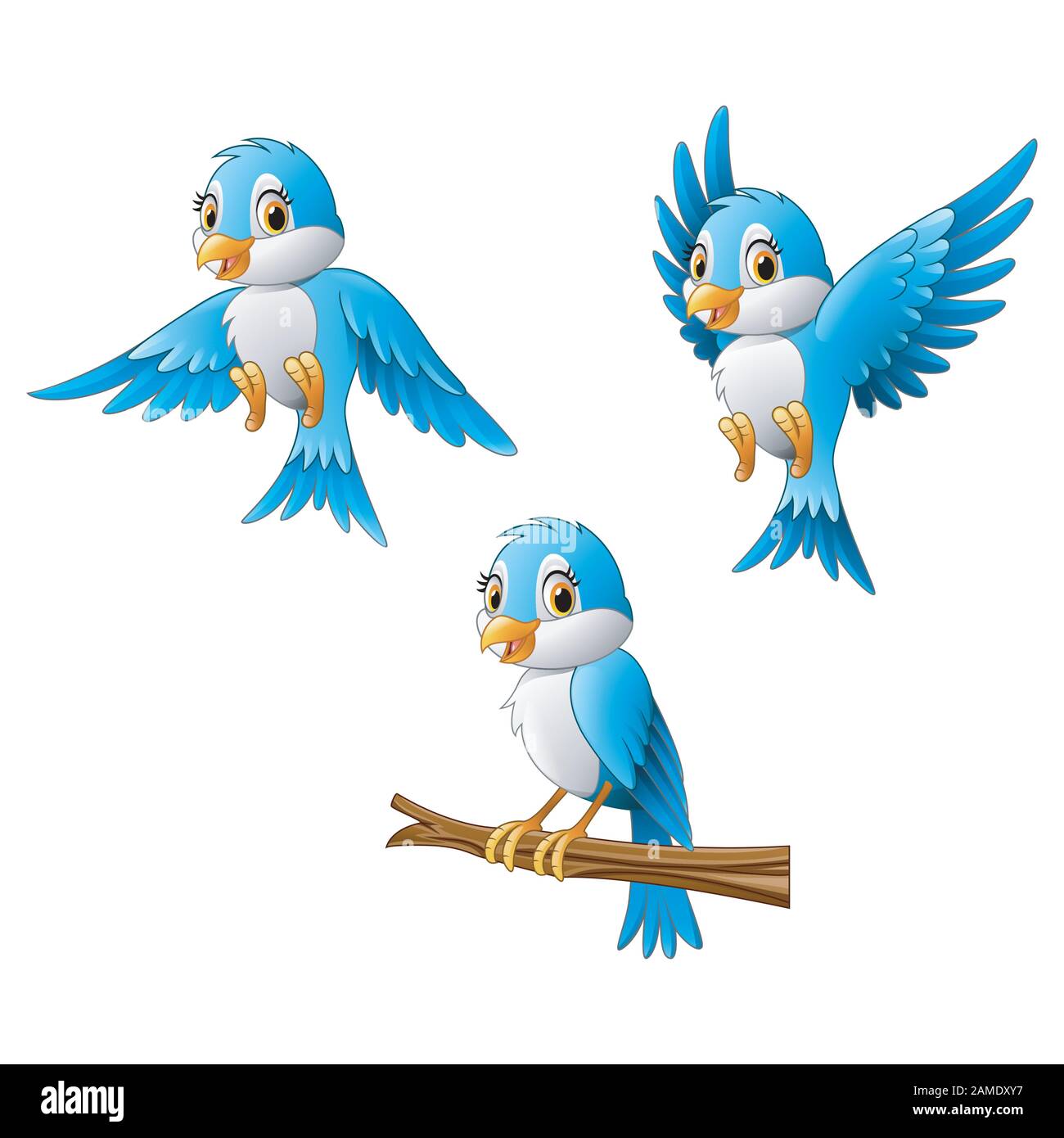 Blue bird collection set Stock Vector Image & Art - Alamy