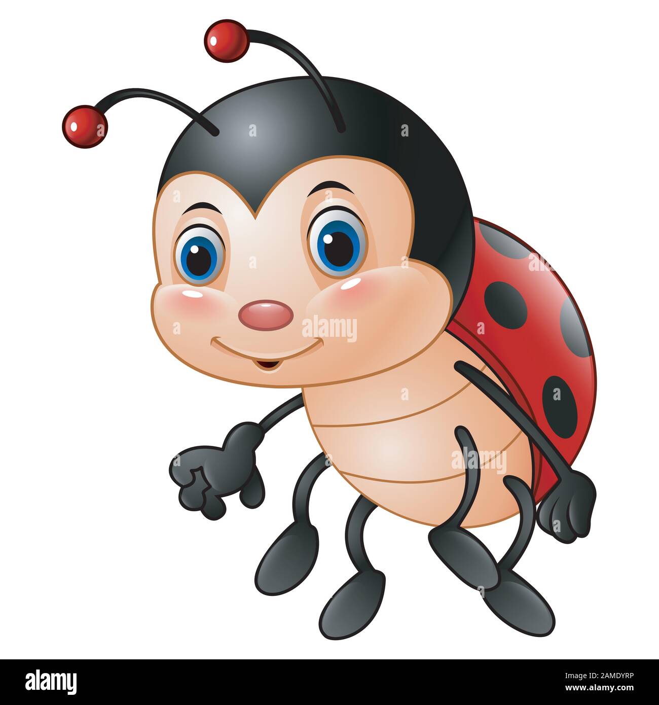 Cartoon funny ladybug Stock Vector Image & Art - Alamy
