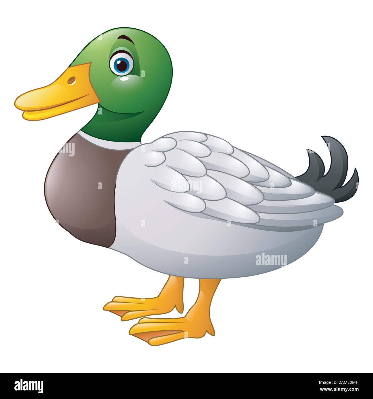Cute cartoon duck Stock Vector Image & Art - Alamy