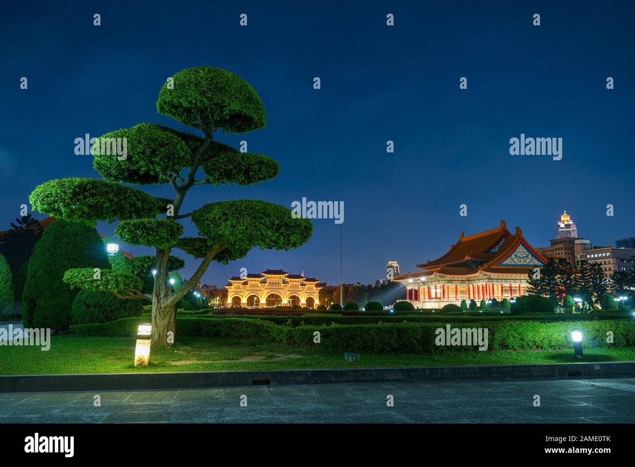 Giant Bonsai Tree at Taipei Liberty Square at night Stock Photo