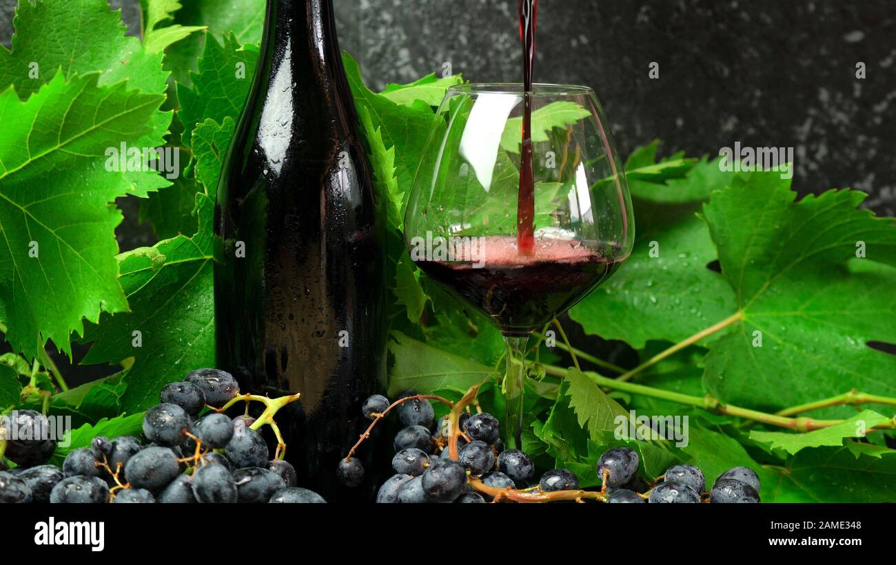 Clean skin bottle and glass of premium red wine in wine tasting setting