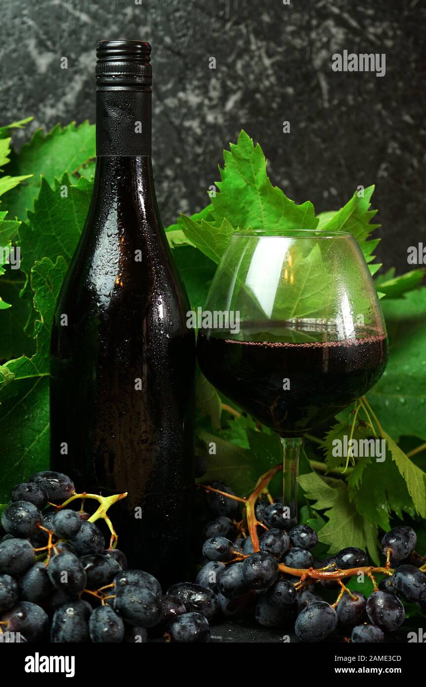 Clean skin bottle and glass of premium red wine in wine tasting setting with grapevine and red grapes. Stock Photo