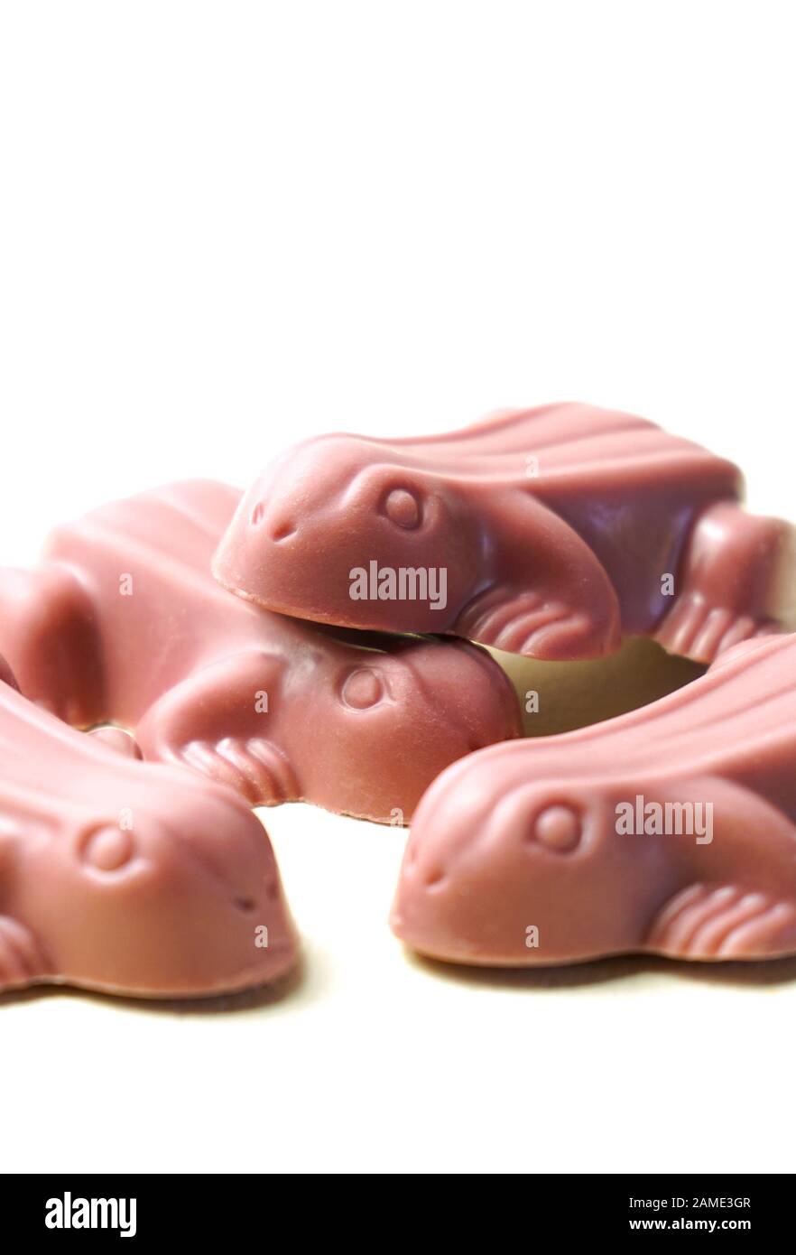 Ruby chocolate frogs, made botanical cocoa bean varieties that have the right attributes to be processed into ruby chocolate, from the macro close up Stock Photo