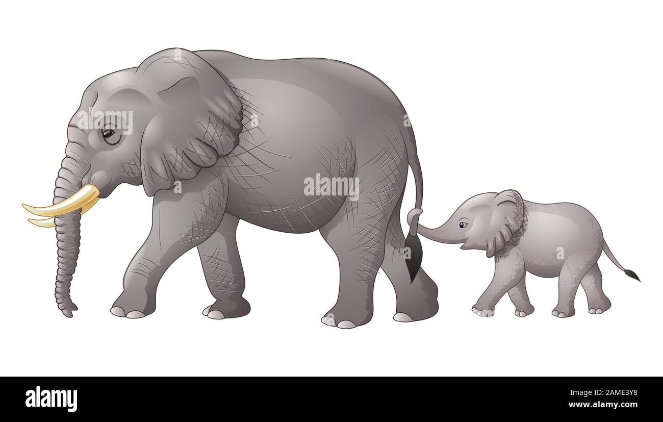 cartoon baby elephant and mom