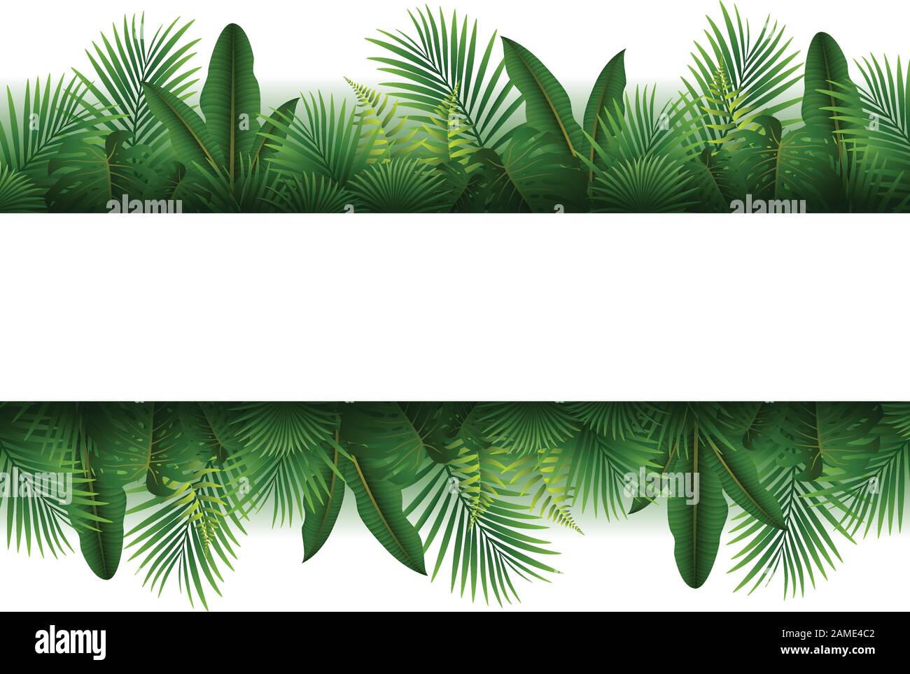 Seamless and Blank sign with Tropical forest background Stock Vector