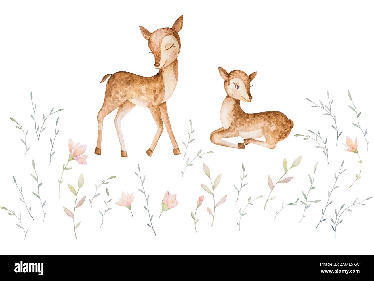Download Forest Animals Little Deers Sleeping Meadow Forest Flowers Grass Watercolor Set Baby Clipart White Background Print Quality Stock Photo Alamy